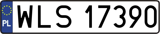 WLS17390