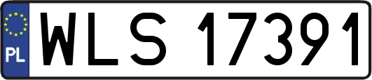 WLS17391