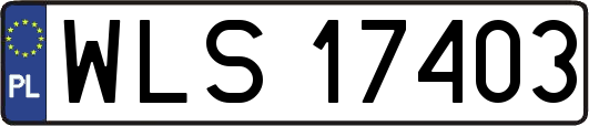 WLS17403