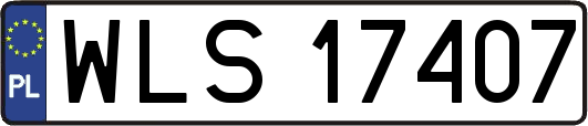WLS17407