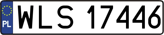 WLS17446