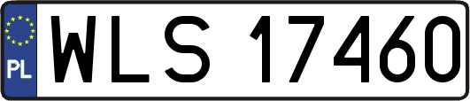 WLS17460