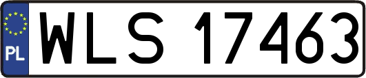 WLS17463
