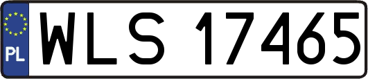 WLS17465