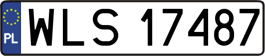 WLS17487
