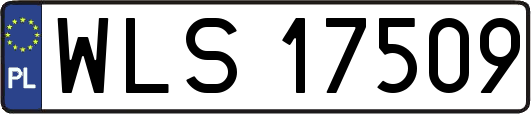 WLS17509