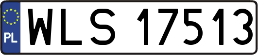 WLS17513