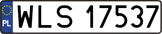 WLS17537