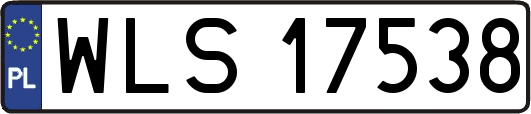 WLS17538