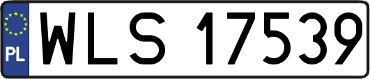 WLS17539