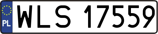 WLS17559