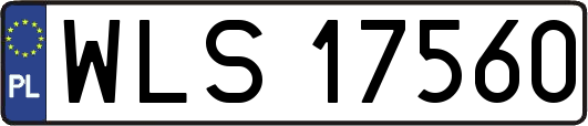 WLS17560