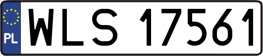 WLS17561