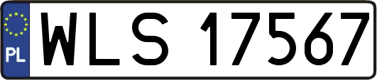 WLS17567
