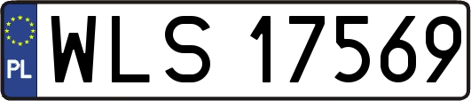 WLS17569