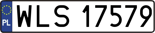 WLS17579