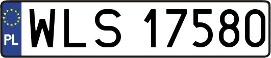 WLS17580