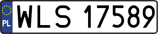 WLS17589
