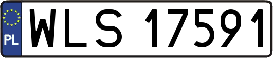 WLS17591