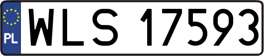WLS17593