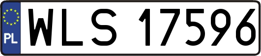 WLS17596