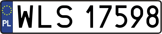 WLS17598