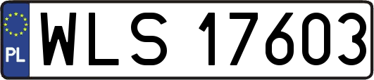 WLS17603