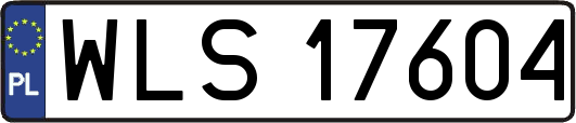 WLS17604