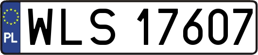 WLS17607
