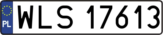 WLS17613