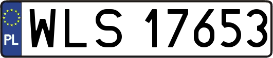 WLS17653