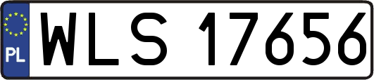 WLS17656
