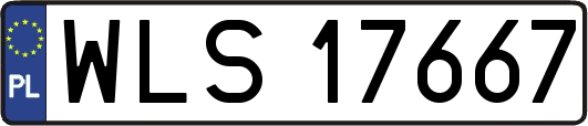 WLS17667