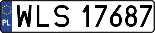 WLS17687