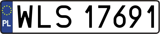 WLS17691