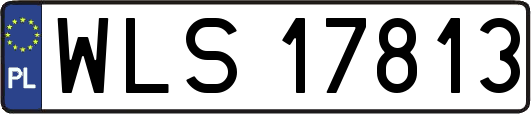 WLS17813