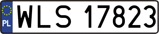 WLS17823