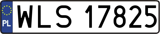 WLS17825