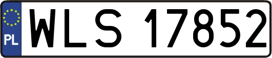 WLS17852