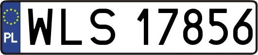 WLS17856