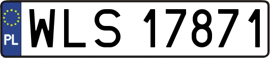 WLS17871