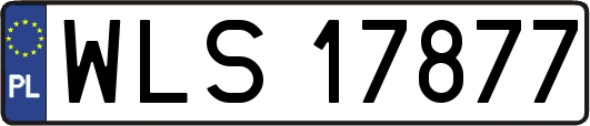 WLS17877