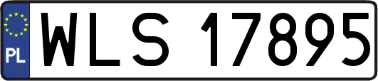 WLS17895