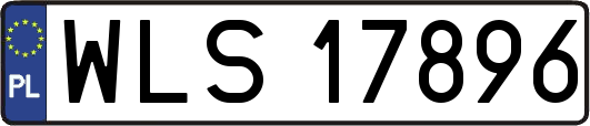 WLS17896
