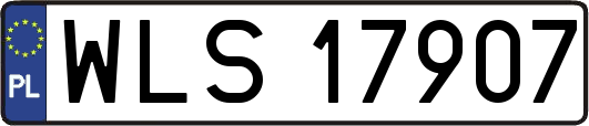 WLS17907