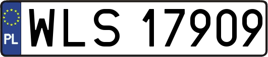 WLS17909