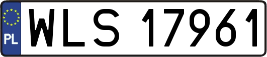 WLS17961