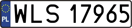 WLS17965
