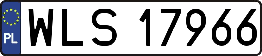 WLS17966