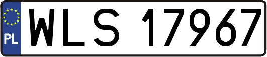 WLS17967